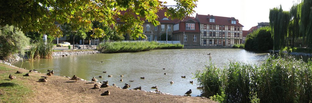 Panorama Torteich