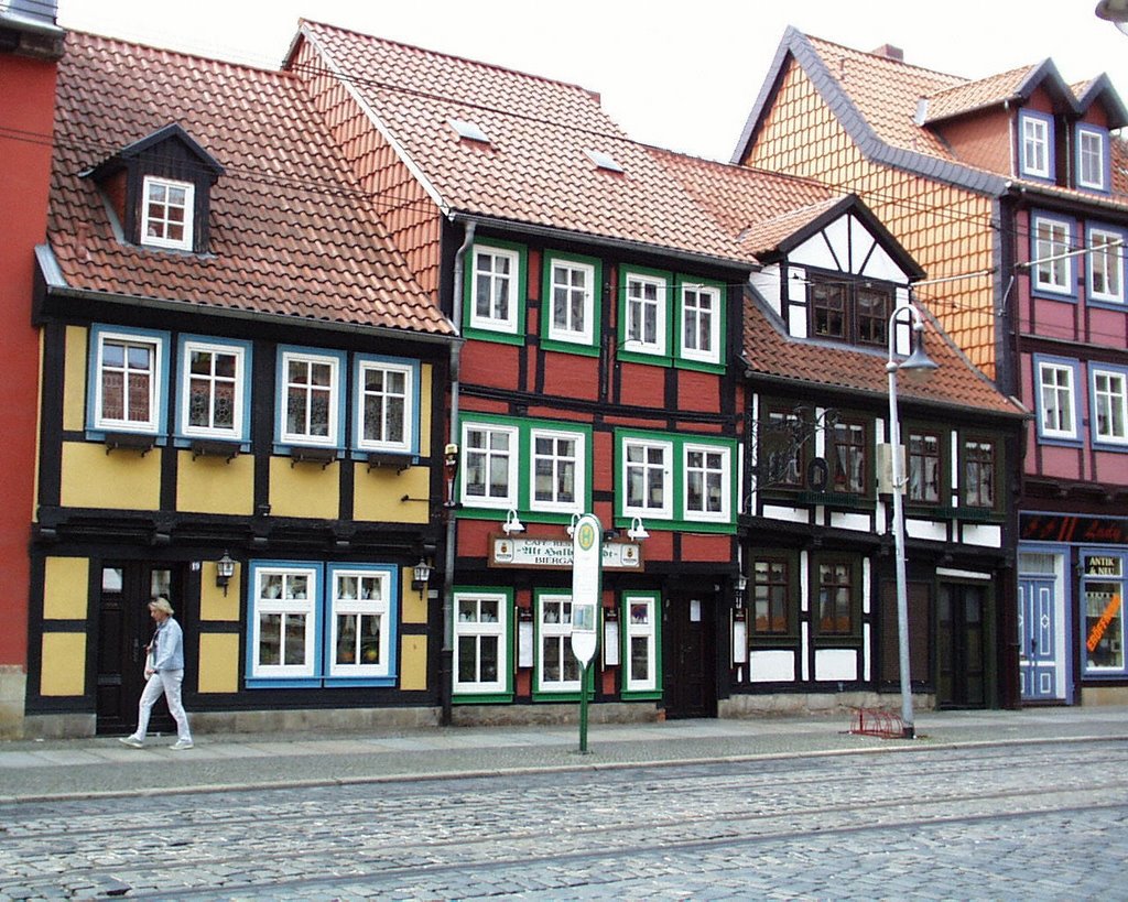 Voigtei