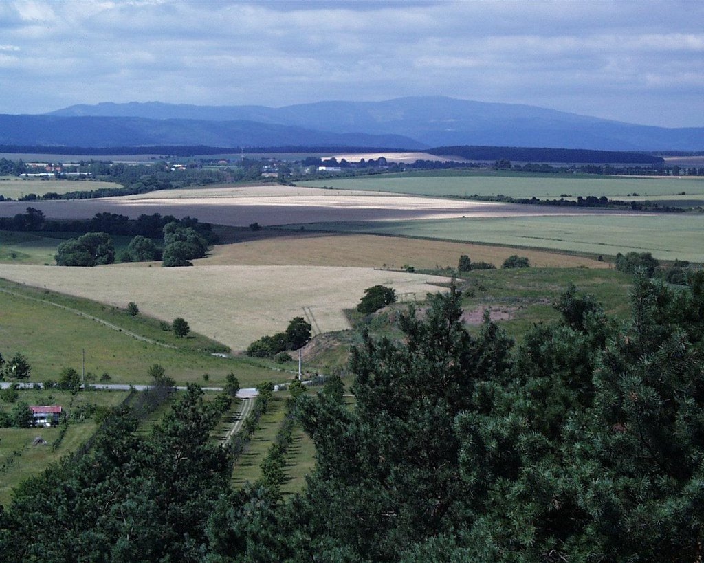 Harzvorland