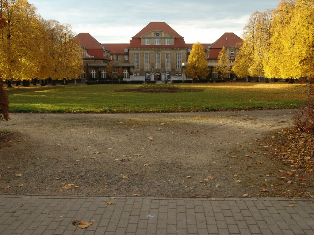 Herbst, Käthe Kollwitz Gymnasium