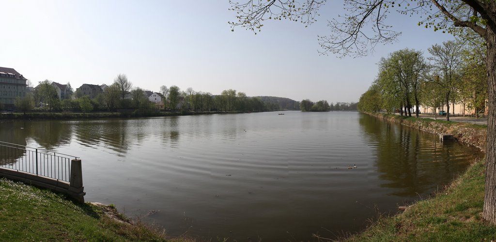 Teich mit Inselzoo
