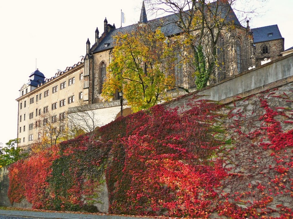 Schloß Altenburg  und Schloßkirche
