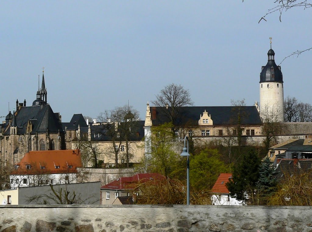 Altenburg  - Blick auf das Schloss aus Südost