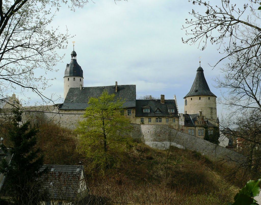 Schloss Altenburg  - Blick auf den Bergfried der ehem. Burg den"Hausmannsturm"(links) & den Wehr- und Wohnturm "Flasche" genannt (rechts), sowie die spätmittelalterliche Zwingermauer