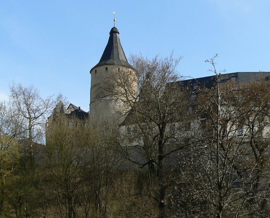 Altenburg - Blick über den Pauritzer Teich auf die Junkerei & die "Flasche" des Schlosses vom Norden