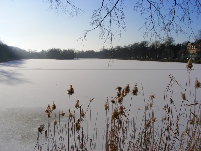 Großer Teich