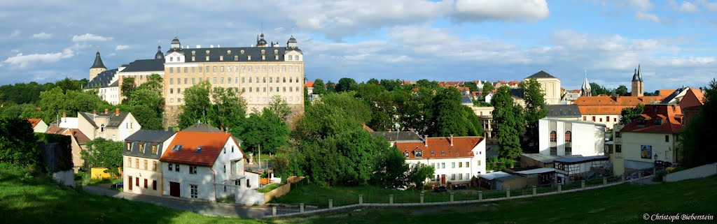 Schloß Altenburg und die Roten Spitzen - Aussicht vom Spitzweggässchen