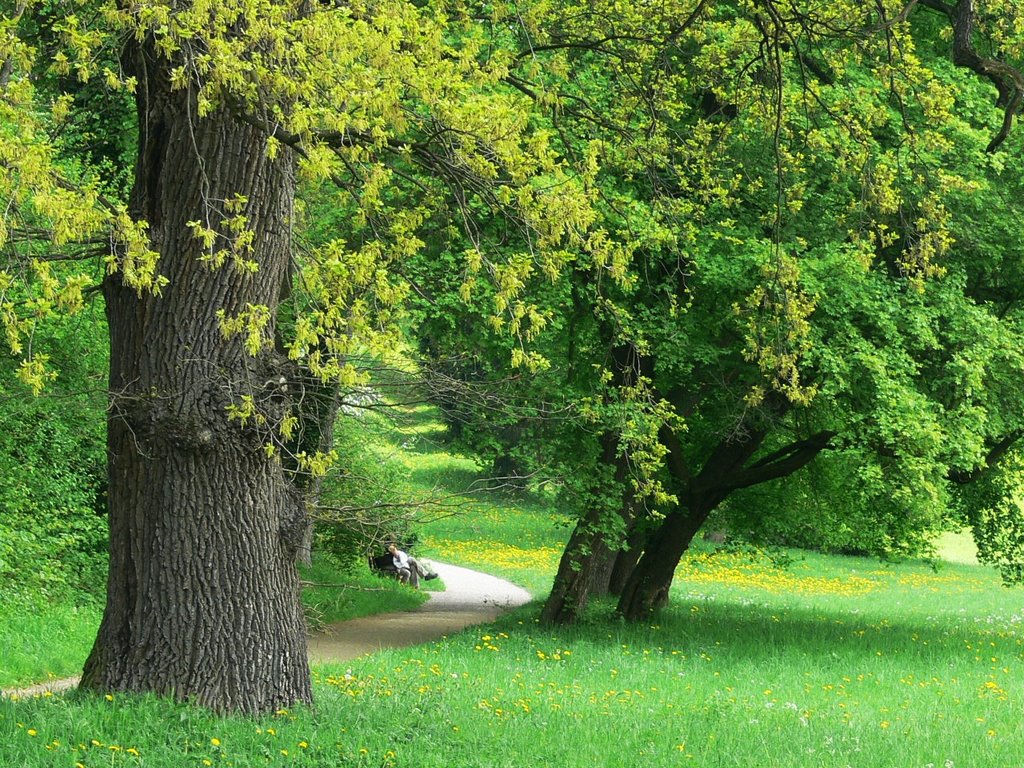 near Goethes garden, Park an der Ilm