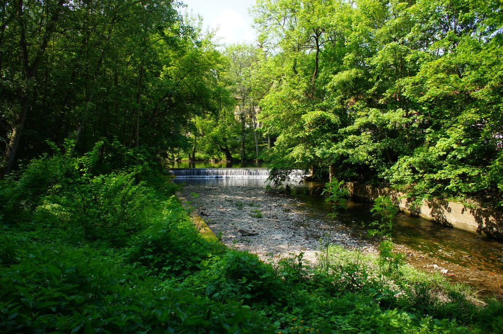 Feuchtgebiete