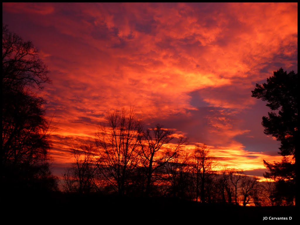 Morgendämmerung aus dem Küchenfenster. 13/12/11, 07.55 Uhr.