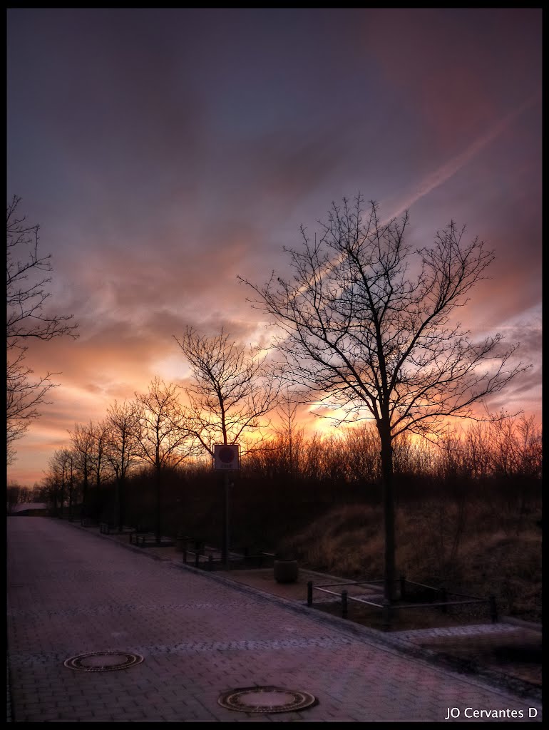 Der Sonnenuntergang wie auf der Wassily Kandinsky Straße gesehen