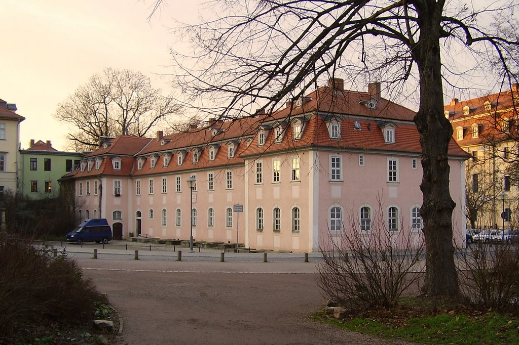 Haus Frau v Stein