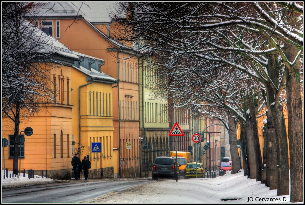 Belvederer Allee