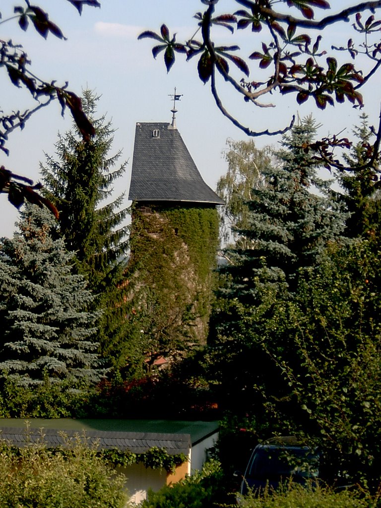 Germany_Harz Mountains_Wernigerode_CityWall_Watchtower_43