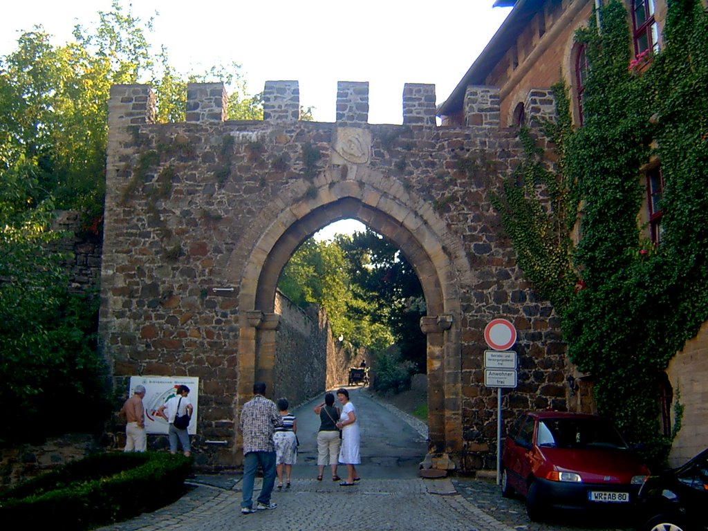 Germany_Saxony-Anhalt_Harz Mountains_Castle of Wernigerode_gate 1_45