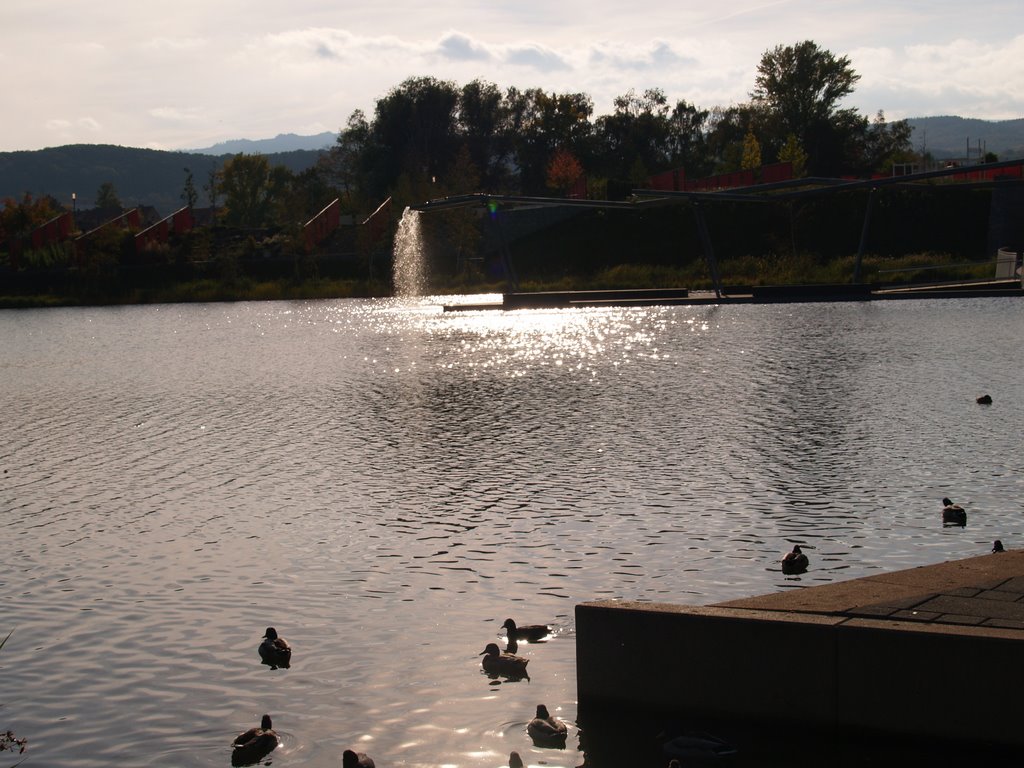 Blick auf die Landesgartenschau Wernigerode 2006