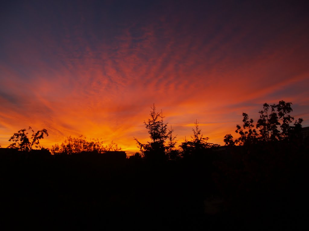 Auch ein Balkon bietet gute Aussichten!