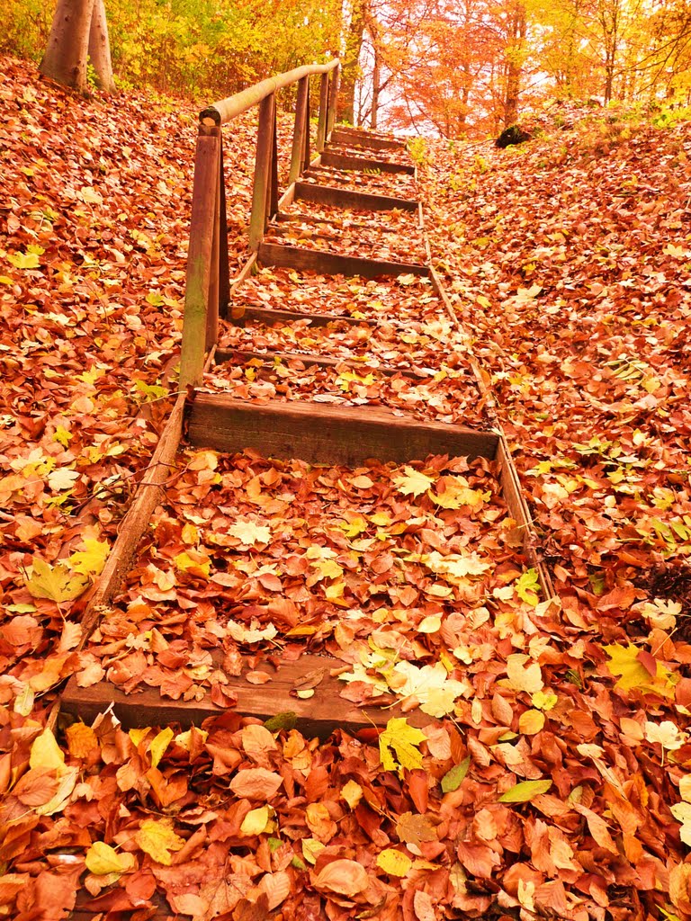 **Unten angekommen ?- Es geht auch im Herbst wieder bergauf!**
