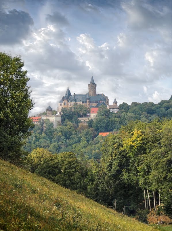 Blick vom Bollhasental