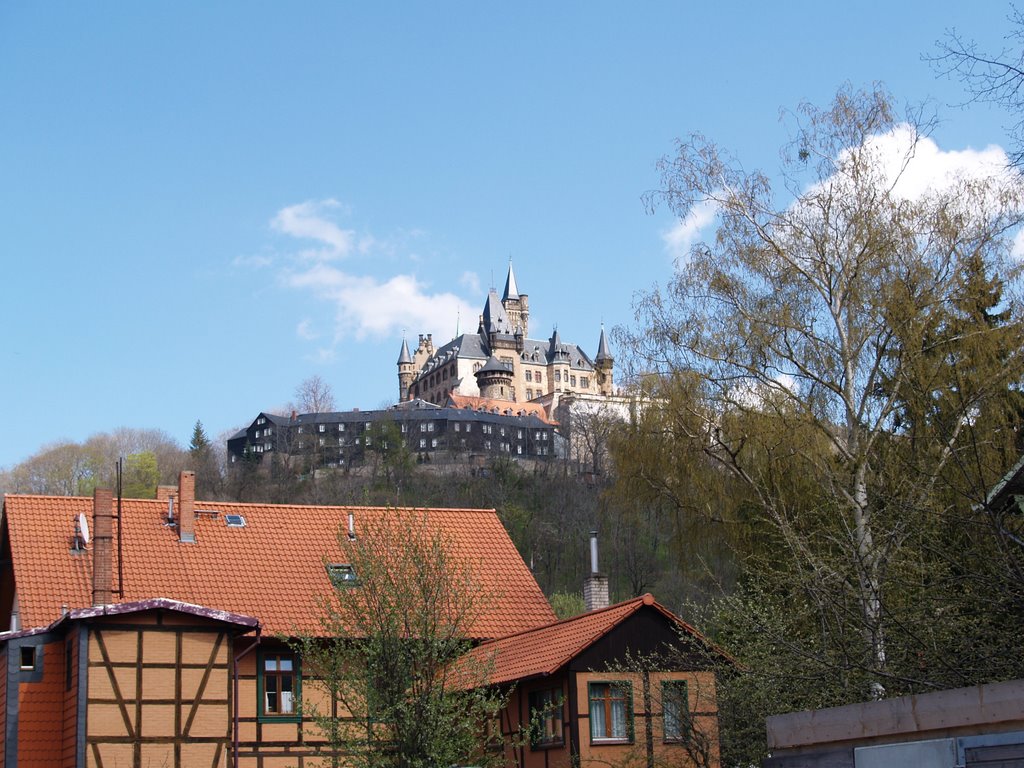 Frühling in Wernigerode
