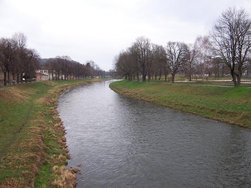 Weiße Elster