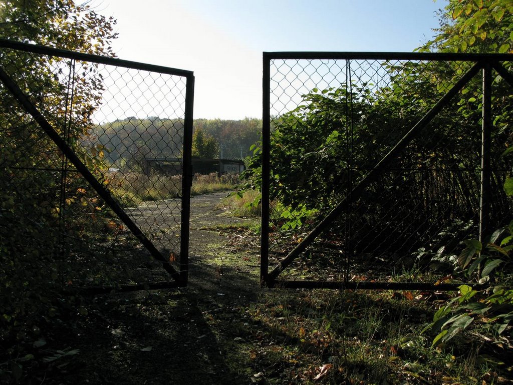 der B-Strang - 10/2008