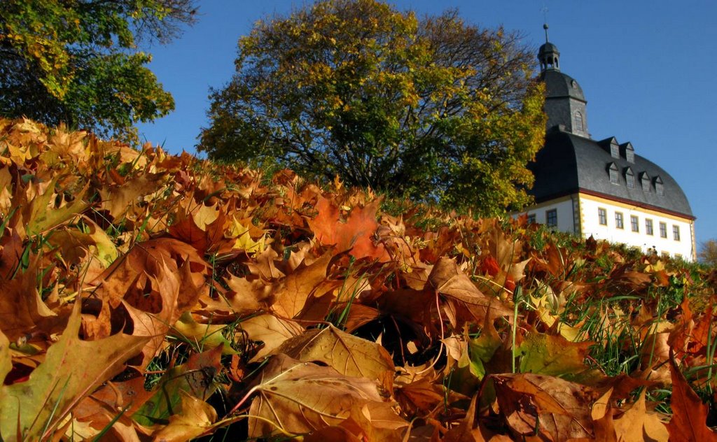 Herbst am Schloss Friedenstein