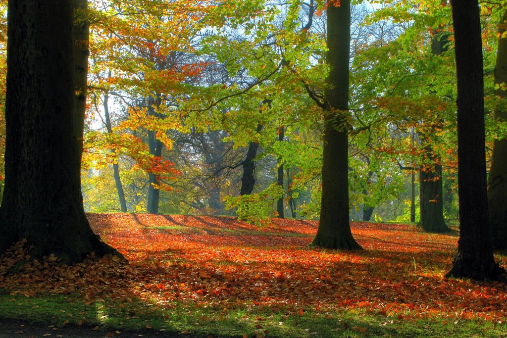Herbst im Stadtpark