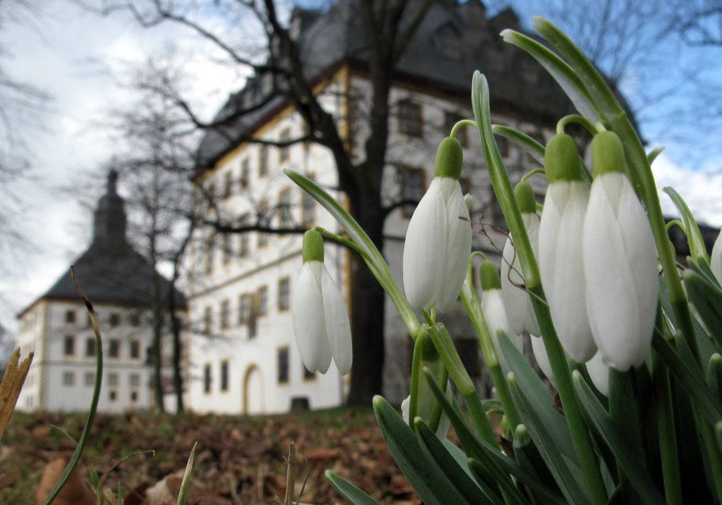 Frühling auf Schloss Friedenstein