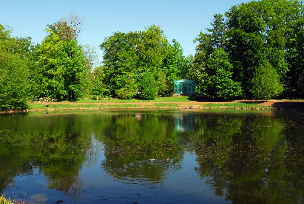 Stadtpark im Sommer