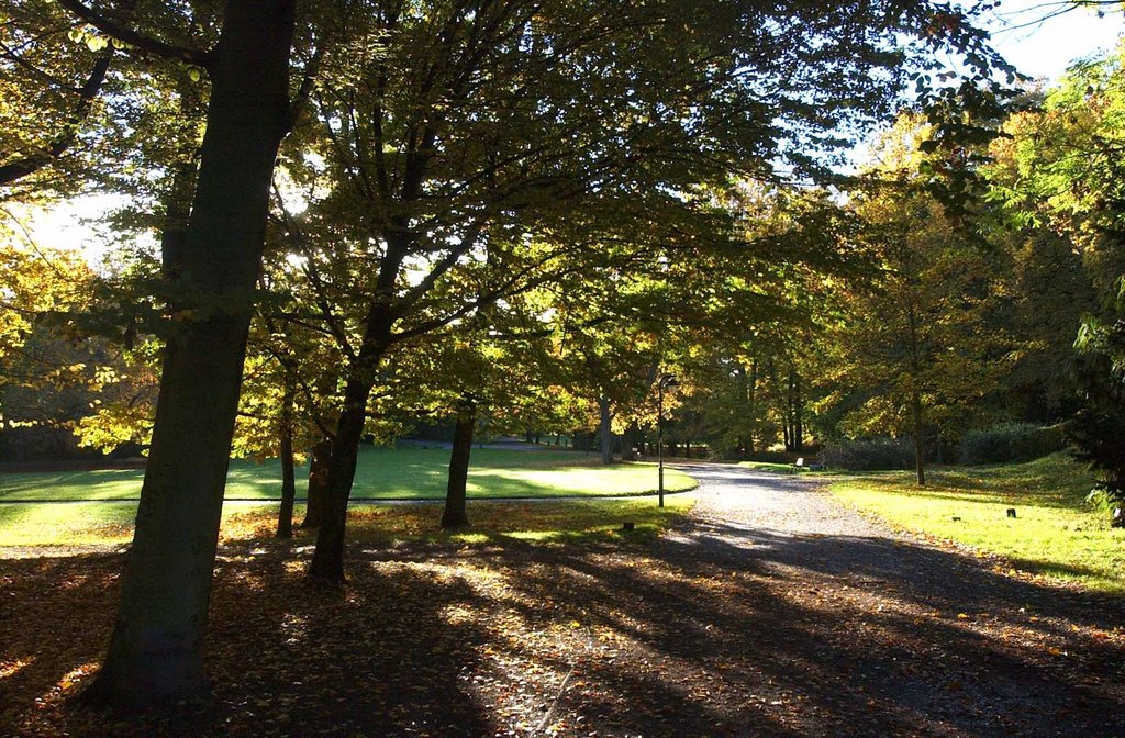 Stadtpark im Herbst