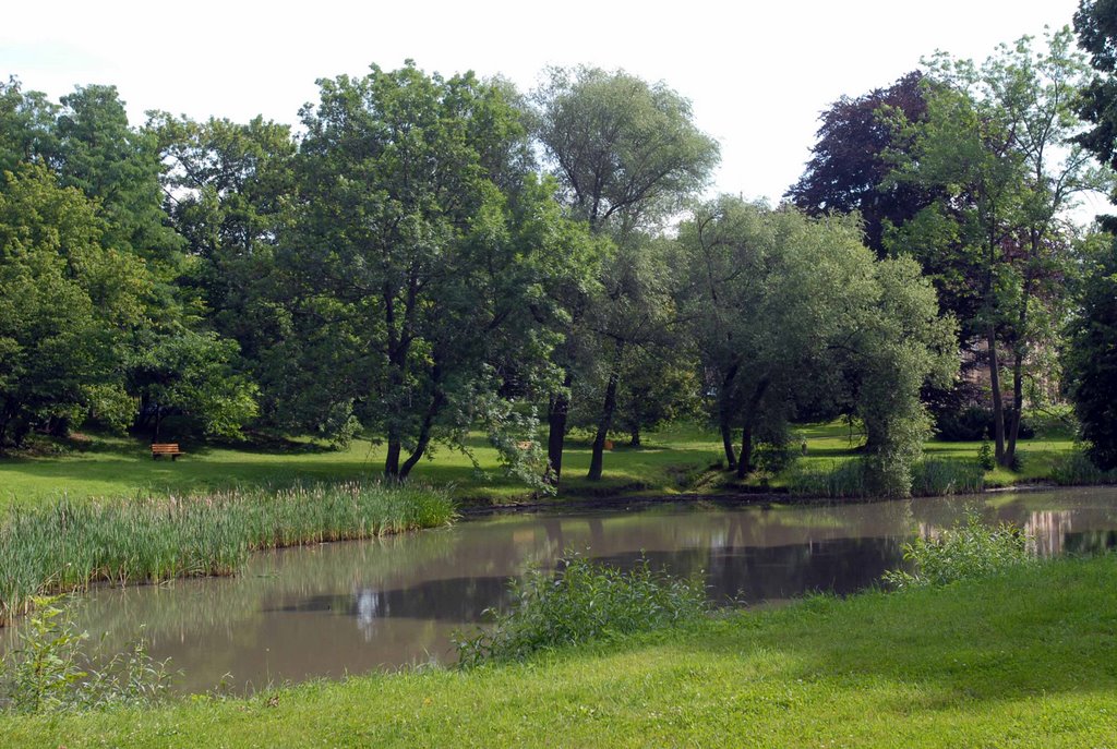 Kleiner Parkteich