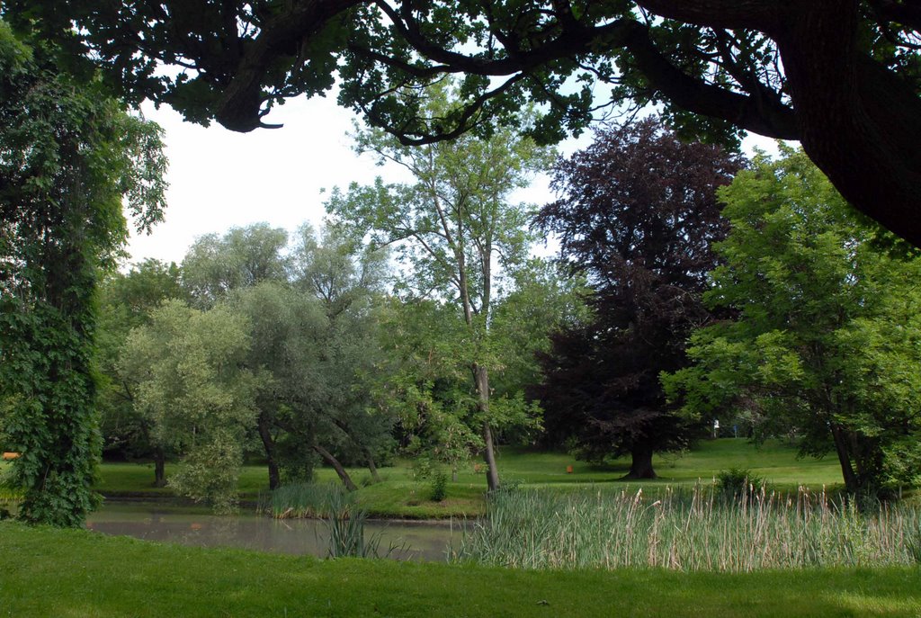 Kleiner Parkteich
