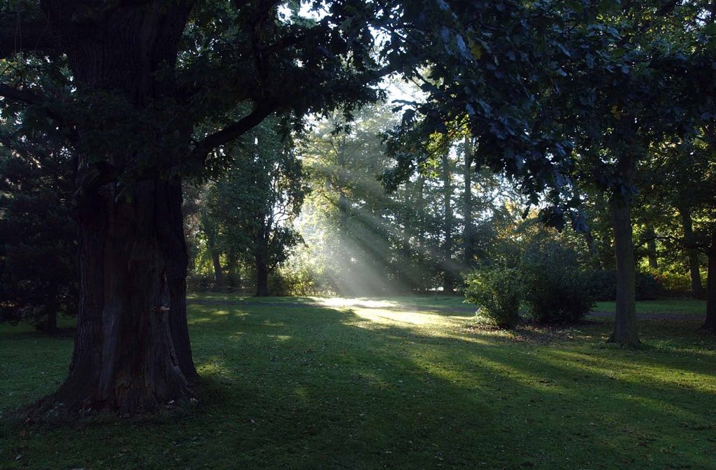 Stadtpark im Herbst