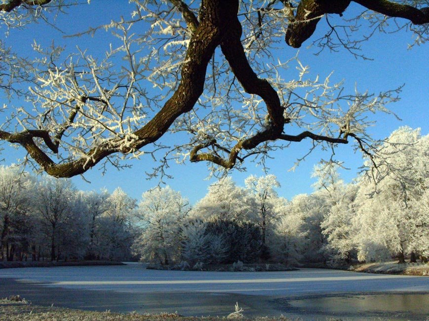 Stadtpark Gotha im Winter