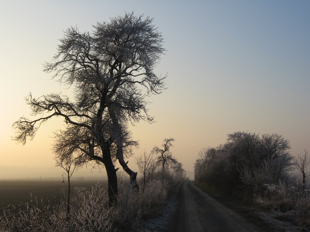 Winteransicht Kirchheim