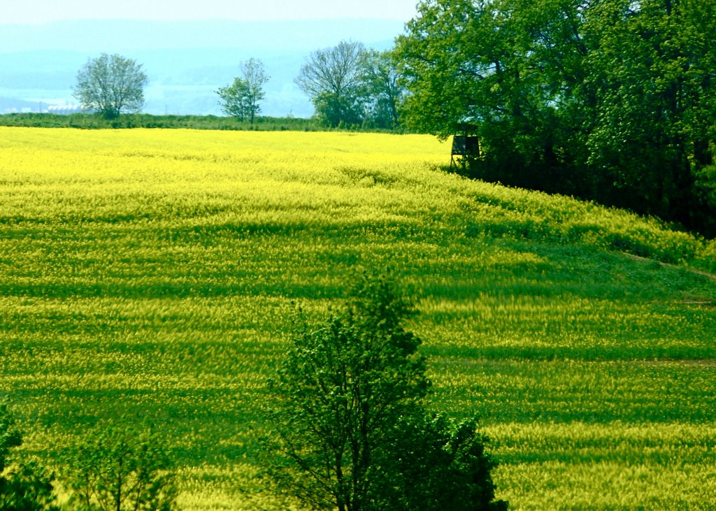 bei Waltersleben