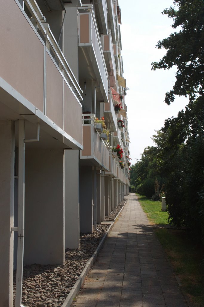 Nordhausen - Wohnungen