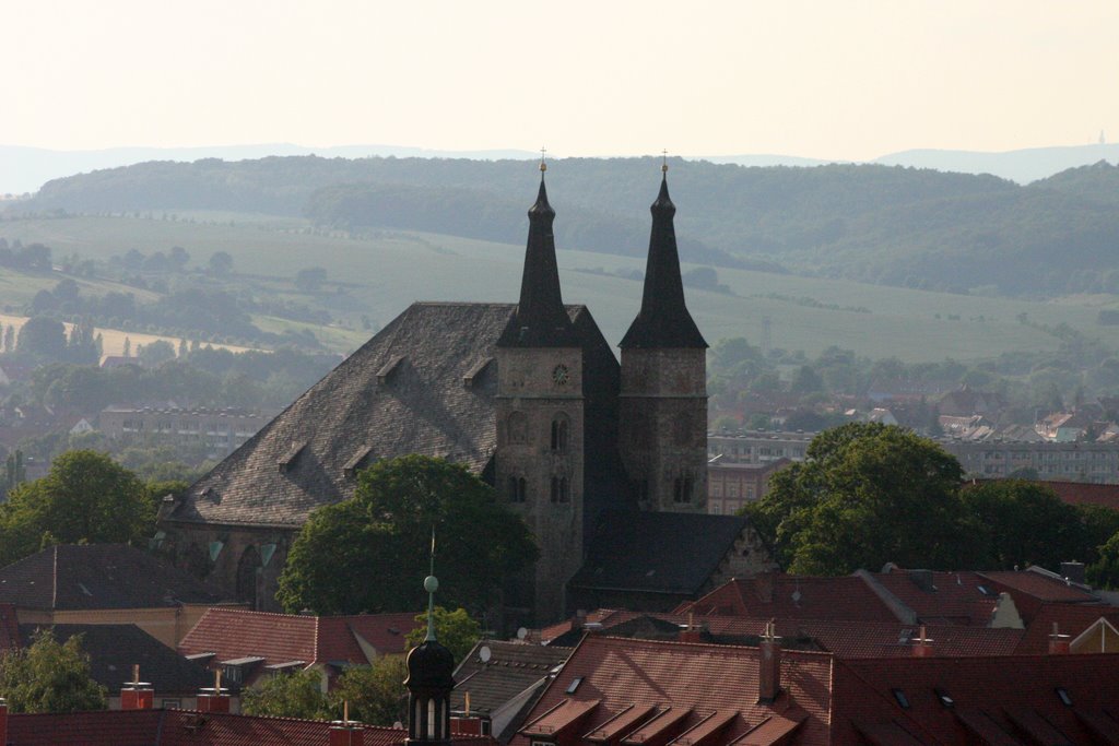 Dom