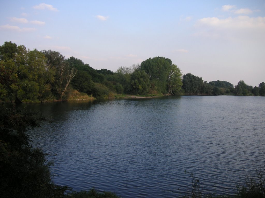Kisi 2005