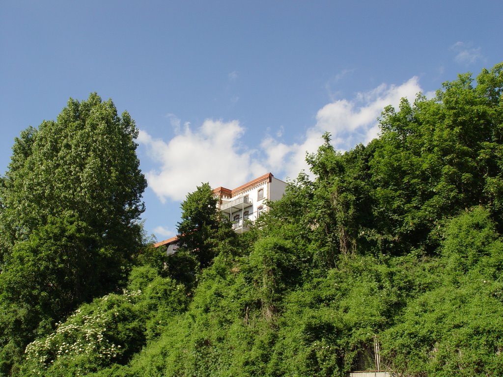 Nordhausen, Dr. - Külz - Straße