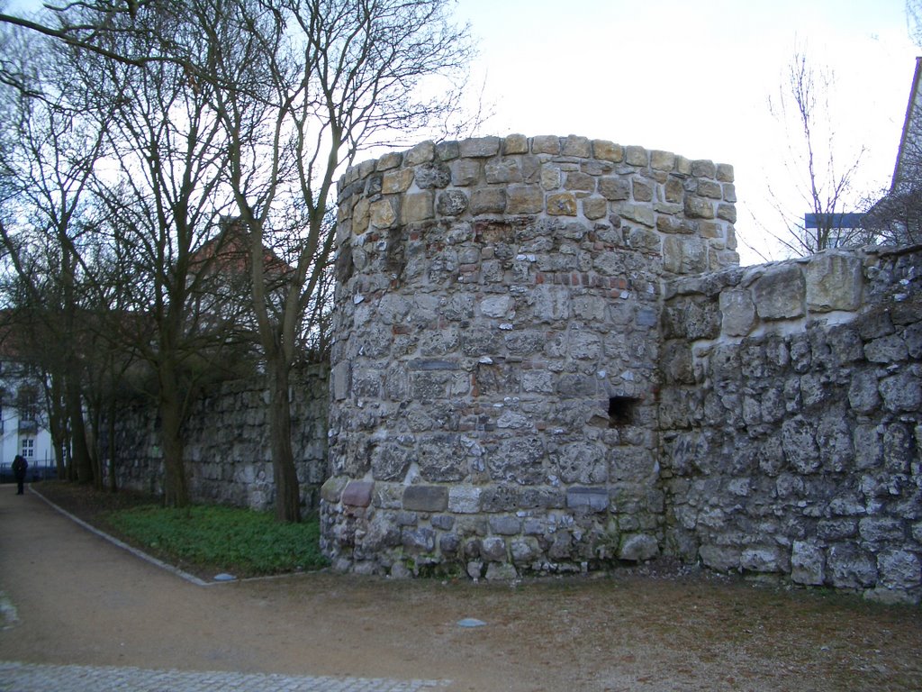 Turm Stadtmauer