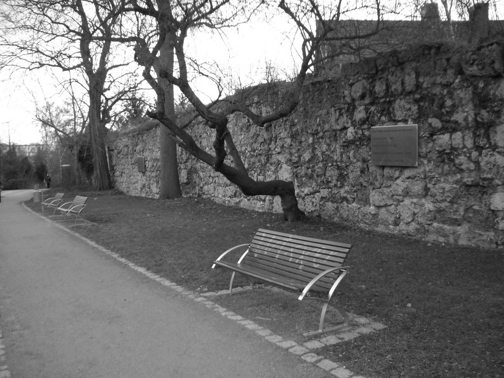 Stadtmauer bei der Promenade, Nordhausen