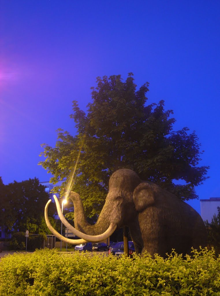 Nordhausen ★2013★ Das Mammut