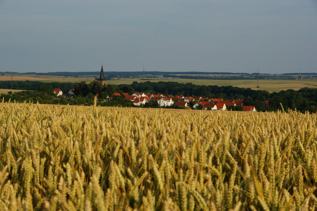 Sommerabend bei Kirchheim