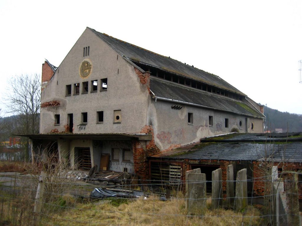 Saatgut