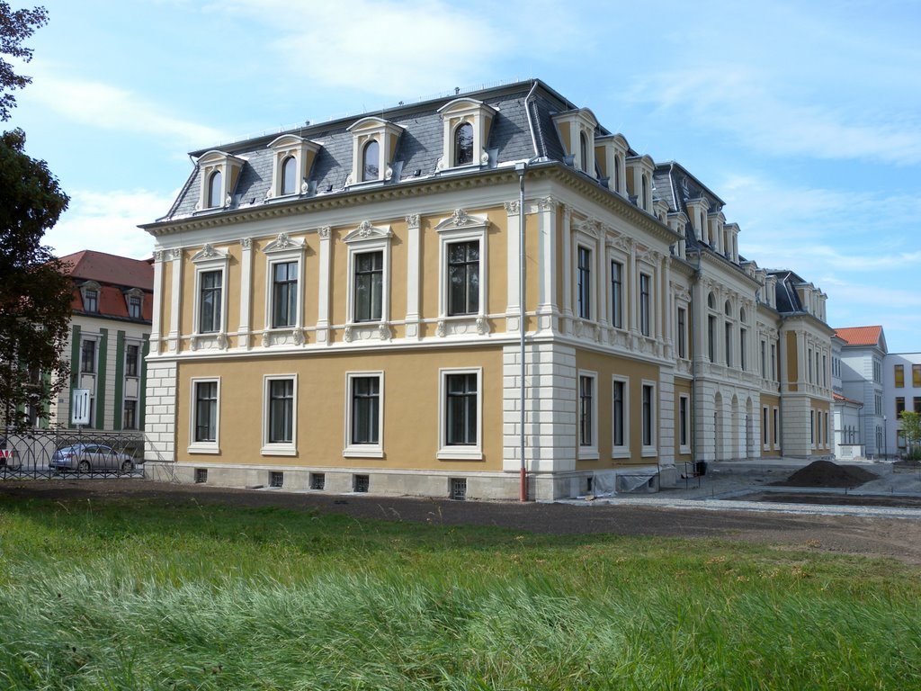 Frisch rausgeputzt