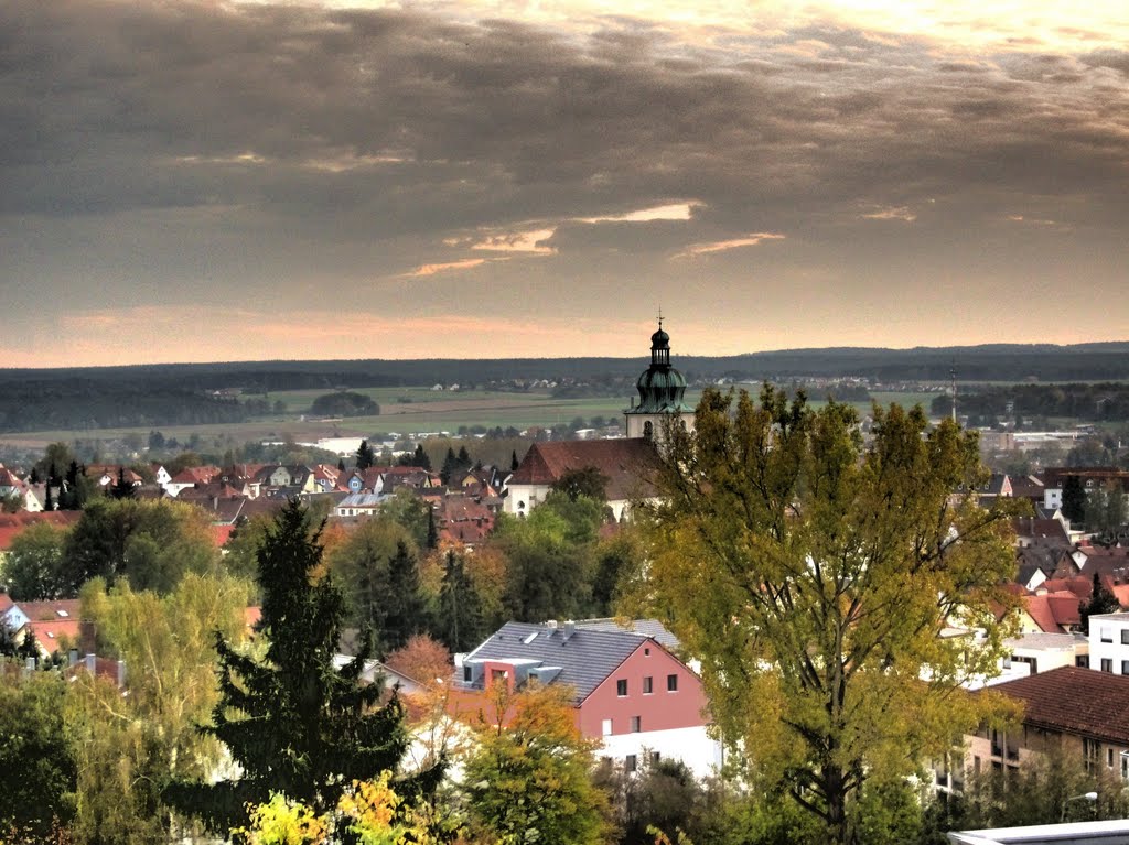 Blick über Amberg (Süden)
