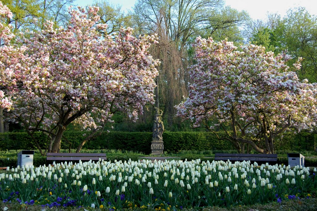 Aschaffenburg - Park Schöntal