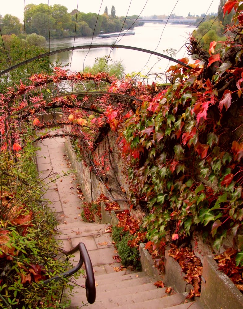 Aschaffenburg: Herbstlicher Wein an der Mainpromenade